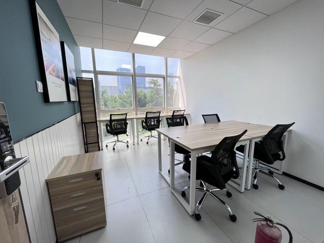 南通苗木销售公司